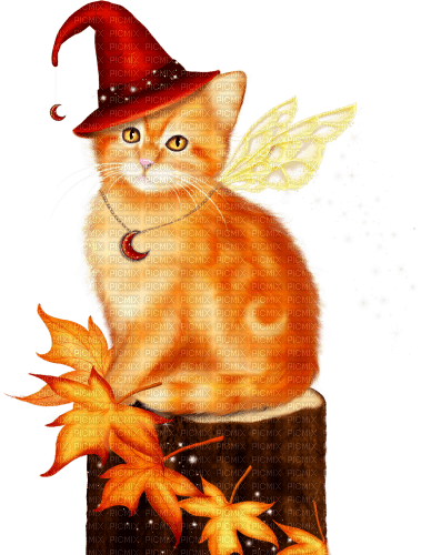 Kitten.Fairy.Halloween.Red.Orange.Brown - nemokama png