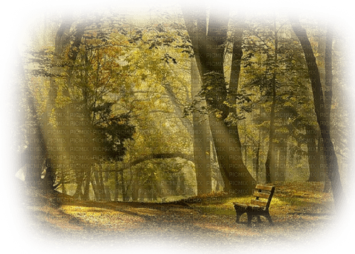 Park, Herbst - png grátis