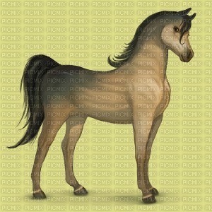 cheval Vénus - besplatni png