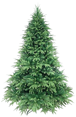 Kaz_Creations Deco Christmas 🎄 Tree - PNG gratuit