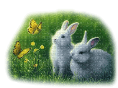 BUNNIES AND BUTTERFLIES - png gratuito