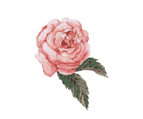 deco rose vintage spring pink flower - 免费PNG