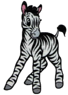 zebra bp - Zdarma animovaný GIF