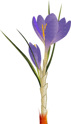 Kaz_Creations Deco Flowers Flower  Purple - kostenlos png