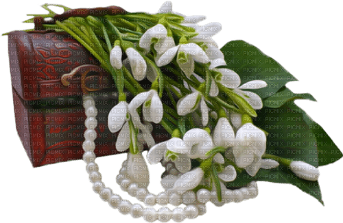 Fleurs.Perles.Flowers.Pearls.Victoriabea - PNG gratuit