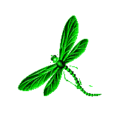 Insects, Insect, Dragonflies, Dragonfly, Green - Jitter.Bug.Girl - GIF animasi gratis