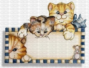 AFFICHE CHATONS - ilmainen png