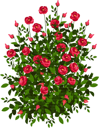 red roses tube - png ฟรี