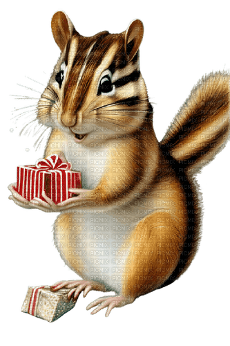 Christmas Gift - Bogusia - PNG gratuit