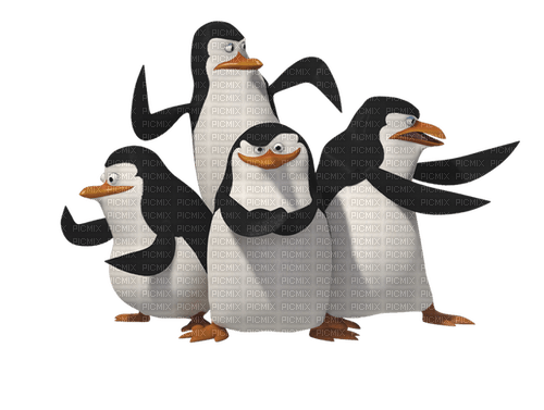 Pinguin 🐧 - ingyenes png