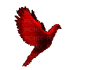 Passáro vermelho - Безплатен анимиран GIF