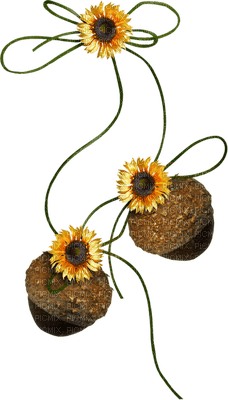 Kaz_Creations Deco Flowers Flower Colours Autumn - PNG gratuit
