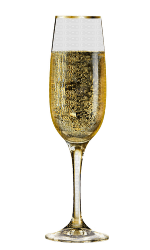 Champagne Glass - Bogusia - безплатен png