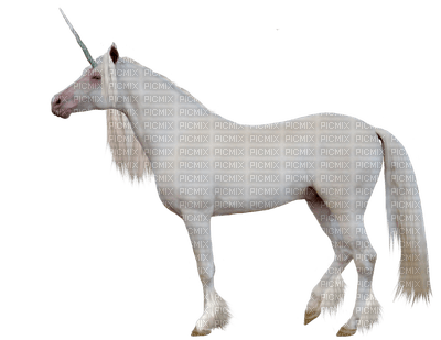 Unicorn 2 - kostenlos png