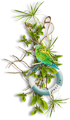 SOAVE DECO SUMMER tropical branch leaves bird - gratis png