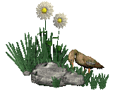duck foraging in flowers - GIF animado grátis