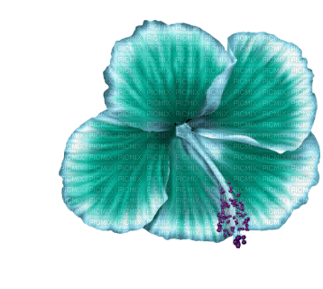 Kaz_Creations Deco Flowers Flower Colours - zadarmo png