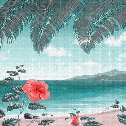 soave background animated summer beach  pink teal - GIF animado grátis