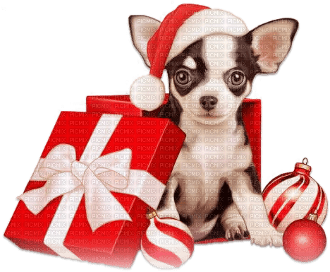 soave animals dog christmas winter brown red - png ฟรี