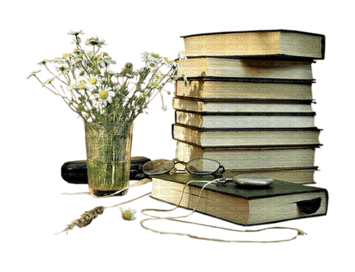 books and vase with white flowers sunshine3 - besplatni png
