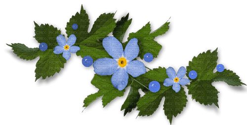 dolceluna blue flowers spring summer - png grátis