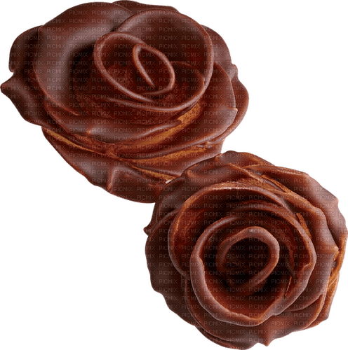 Chocolate.Fleurs.flowers.brown.Victoriabea - zdarma png