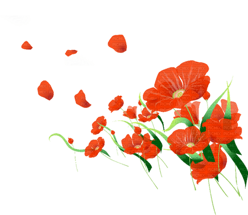 Цветы - PNG gratuit