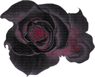 rose noir.Cheyenne63 - darmowe png