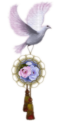 colombe.Cheyenne63 - 免费PNG