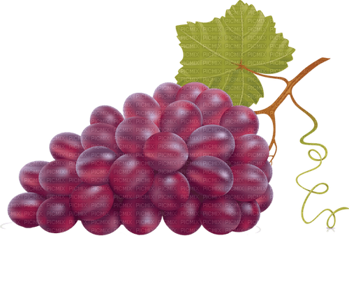 виноград - png gratuito