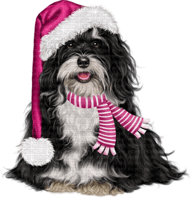Kaz_Creations Dogs Dog Pup 🐶 Christmas - ilmainen png