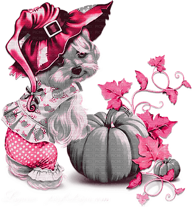 soave dog pumpkin halloween witch animals - besplatni png