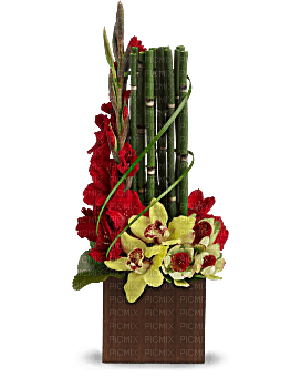 Kaz_Creations  Flowers Vase Plant - nemokama png
