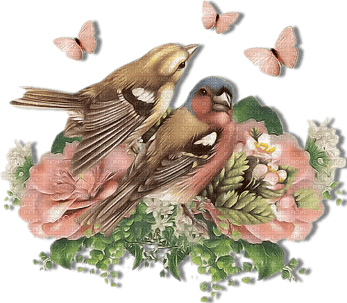 fåglar-blommor--birds-flowers - png grátis