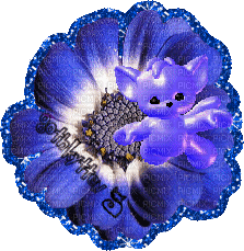 fleur mauve - Бесплатный анимированный гифка
