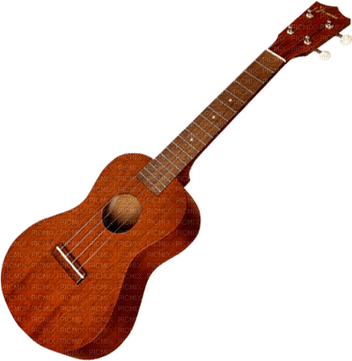 Salomelinda guitare ! - ingyenes png