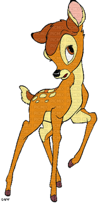 bambi - Бесплатный анимированный гифка