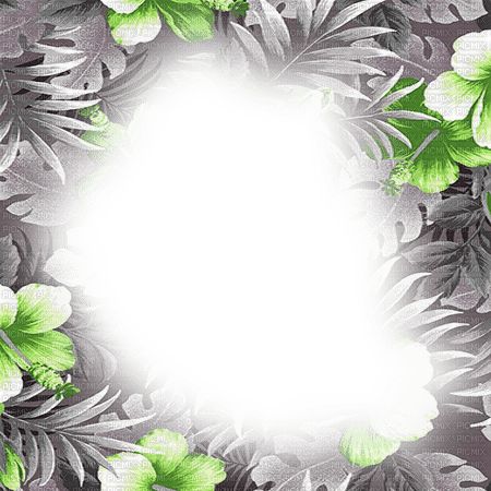 dolceluna green black white tropical frame - ücretsiz png