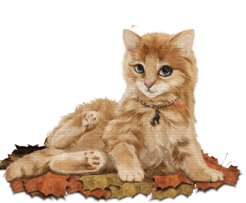 Katze cat Herbst - безплатен png