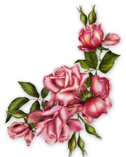 vintage roses - png gratuito