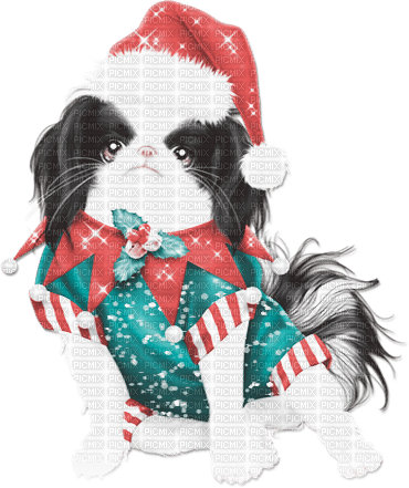 soave christmas winter dog animals - 免费PNG