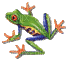 poison frog - GIF animado gratis