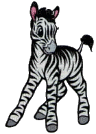 zebres - Free animated GIF