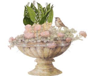 Blumenschale mit Vogel - Δωρεάν κινούμενο GIF