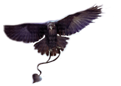 crow by nataliplus - kostenlos png