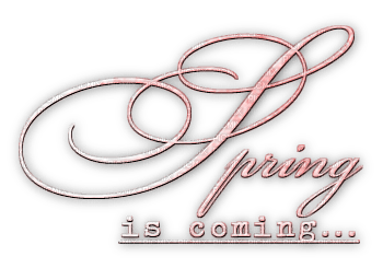 soave text spring is coming pink - darmowe png