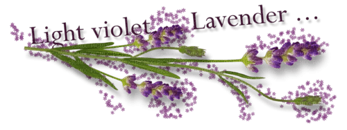 lavender Bb2 - δωρεάν png