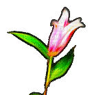 flower fleur blossom blumen deco tube  effect effet  spring printemps     gif anime animated animation - Darmowy animowany GIF