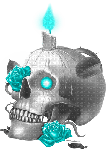 Skull.Candle.Roses.Black.White.Turquoise - PNG gratuit