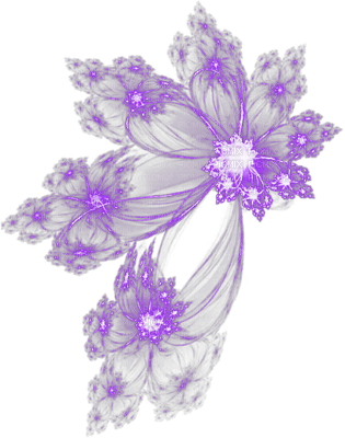 violet etoile deco purple stars